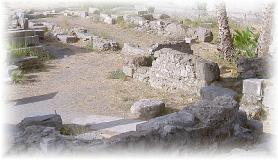 Kos s archeologickým nalezištěm